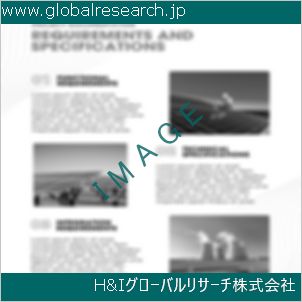 グローバルリサーチ調査資料のイメージ